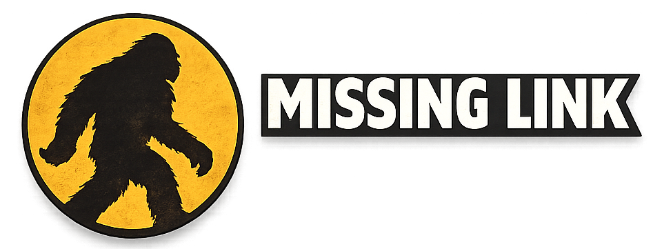 MissingLink